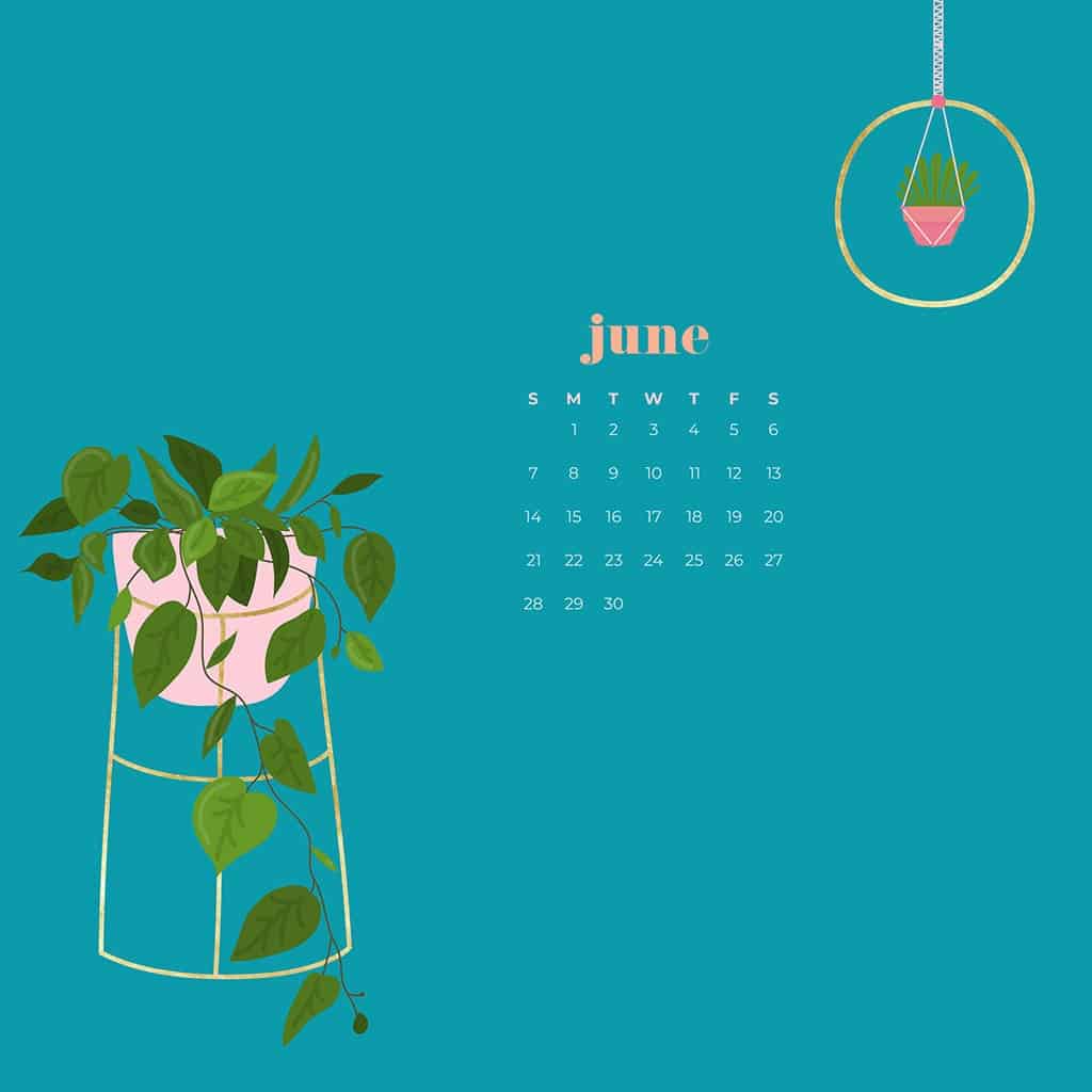 June Photos Download The BEST Free June Stock Photos  HD Images