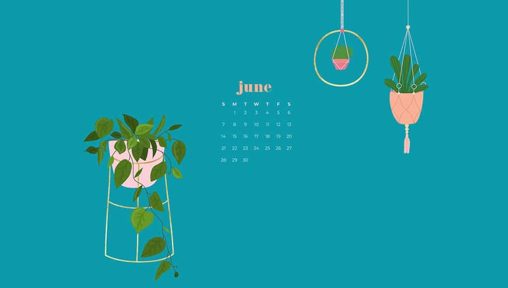 Free June wallpapers — modern plants