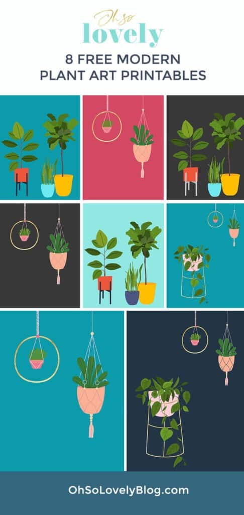 Free modern plant printables — 8 colorful and fun options to choose from! Simply download, print, and frame to update your walls!