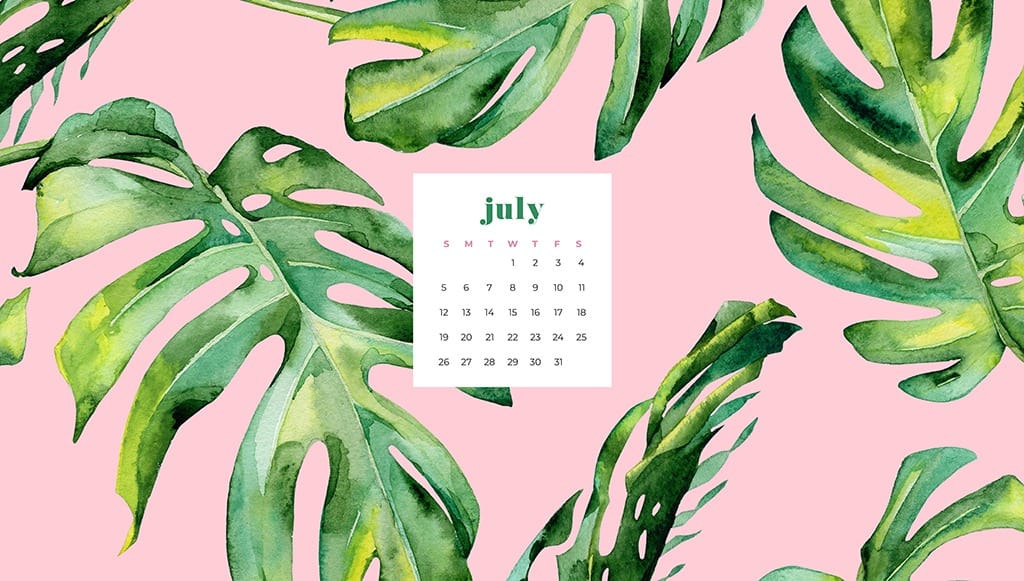 Free July wallpapers palm leaves and pink