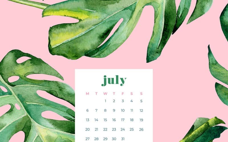 Free July wallpapers palm leaves and pink