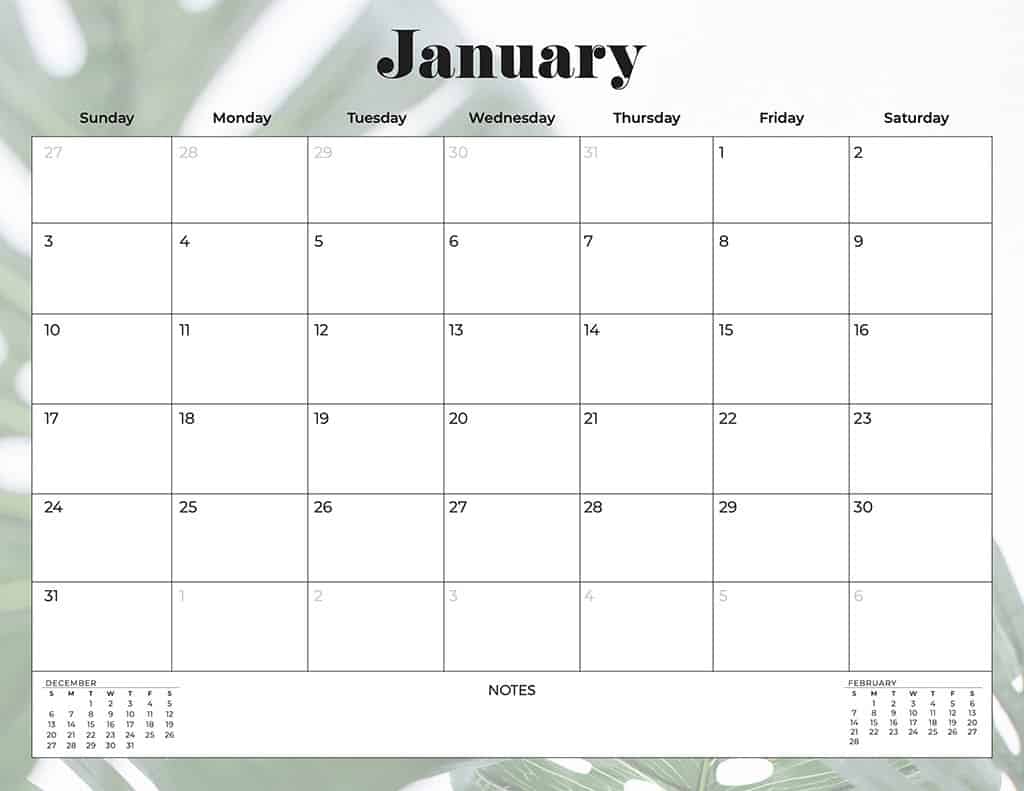 free 2021 printable calendars palm leaves