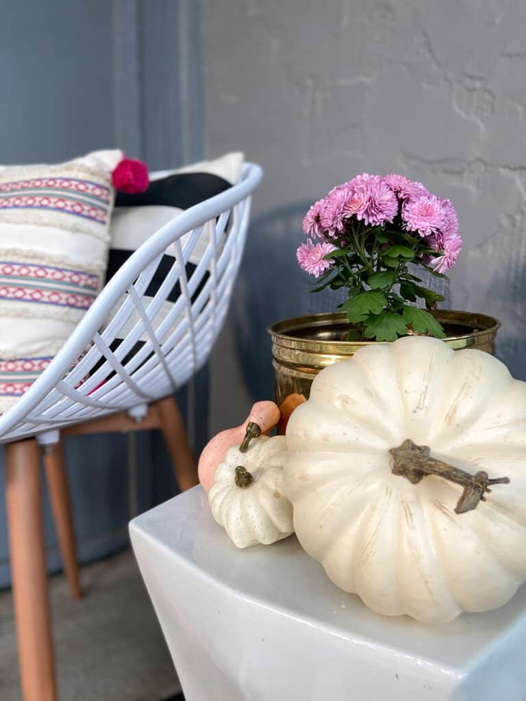 A colorful and modern outdoor fall decor with plants and pumpkins