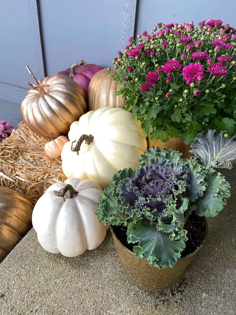 fall front porch with decor pumpkins and plants