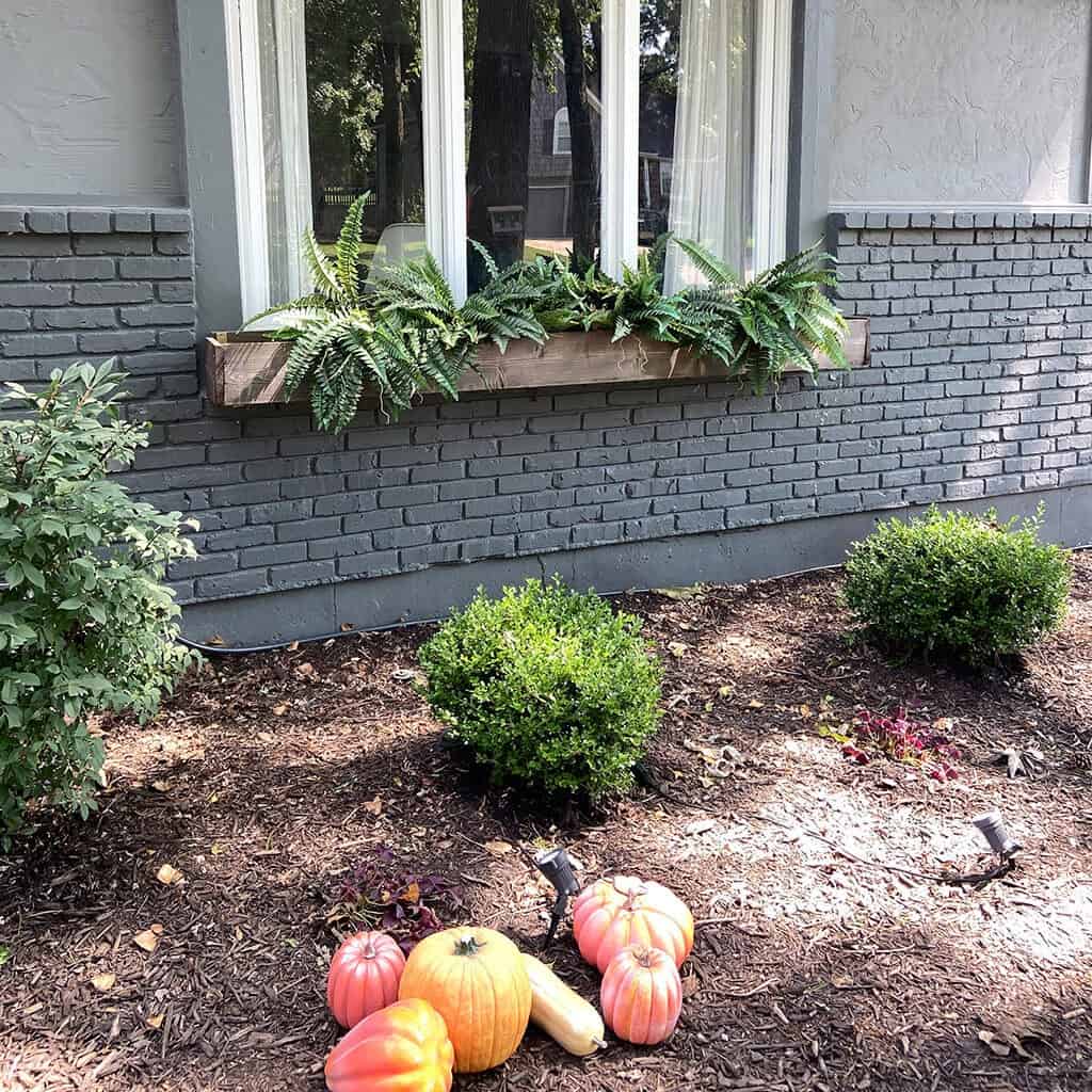 outdoor fall decor and window boxes with pumpkins and faux ferns