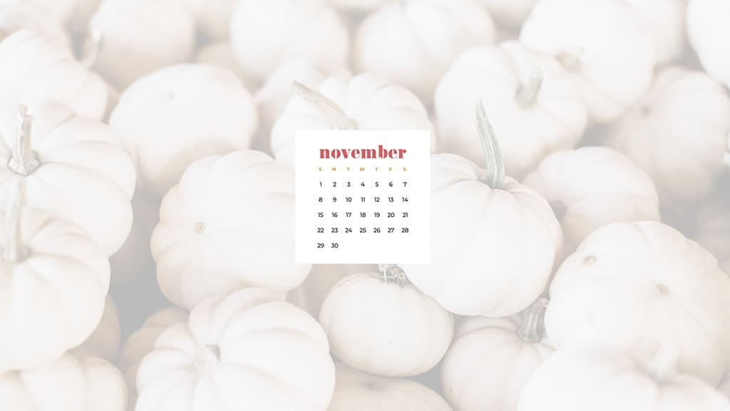 Free November 2020 desktop calendar wallpapers — white pumpkins