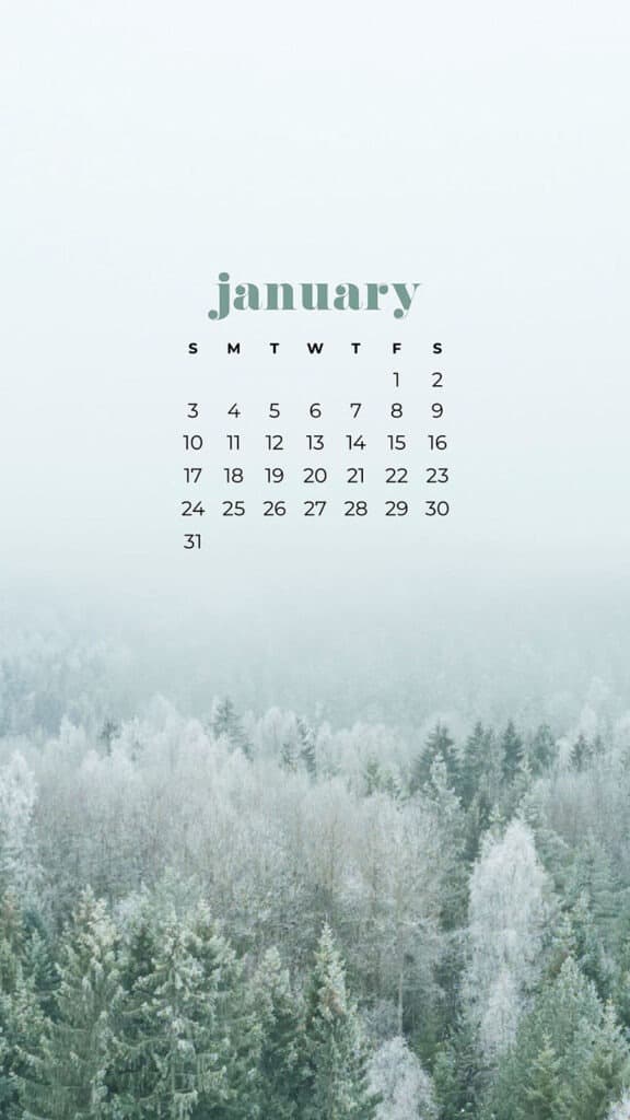 30 FREE JANUARY 2021 CALENDAR WALLPAPERS – DRESS YOUR TECH!, Oh So Lovely Blog