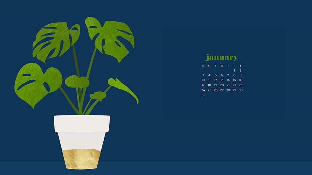 January 2021 calendar wallpapers – 30 FREE designs to choose from in Sunday and Monday starts + no calendar options for desktop and phone!
