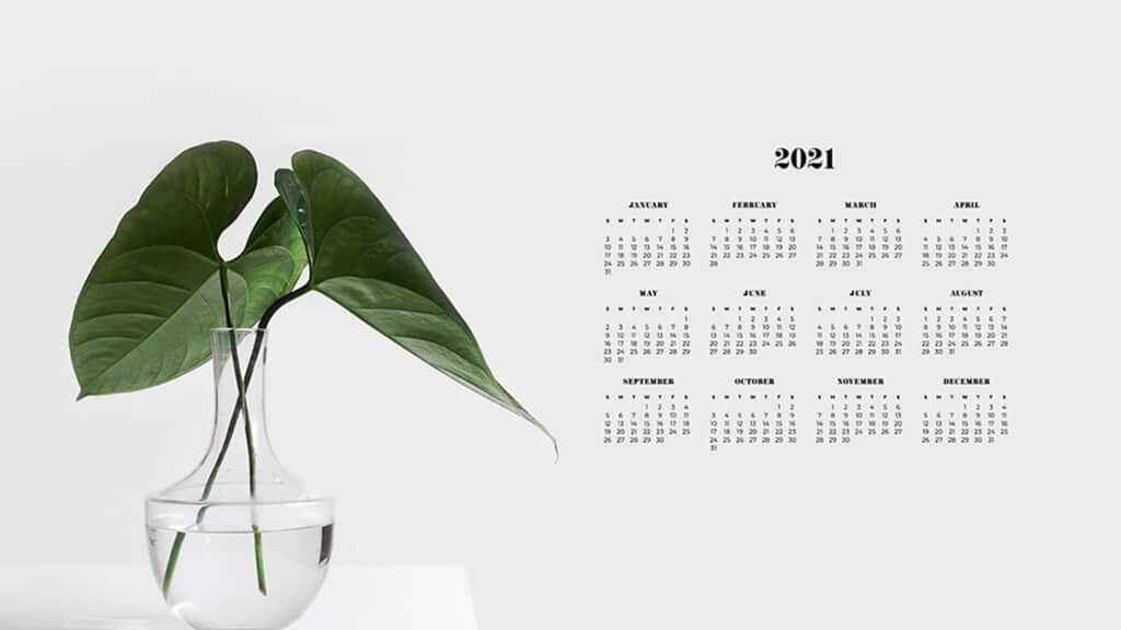 FREE 2021 WALLPAPER CALENDARS – 50+ OH SO LOVELY OPTIONS!, Oh So Lovely Blog