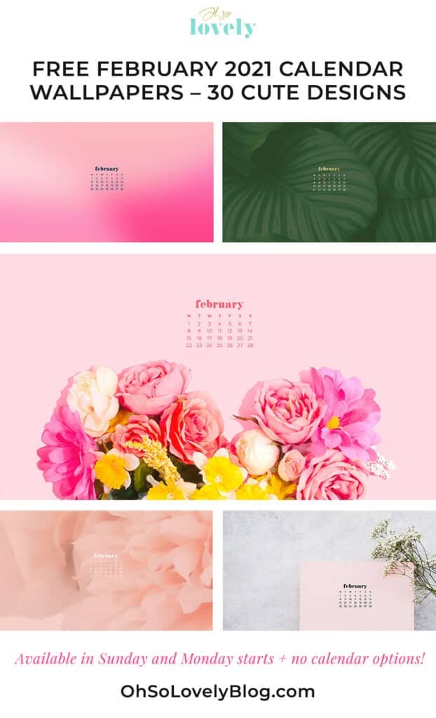 Free February 2021 calendar wallpapers – 30 cute designs in both Sunday and Monday starts for phone and desktop. Dress you tech!