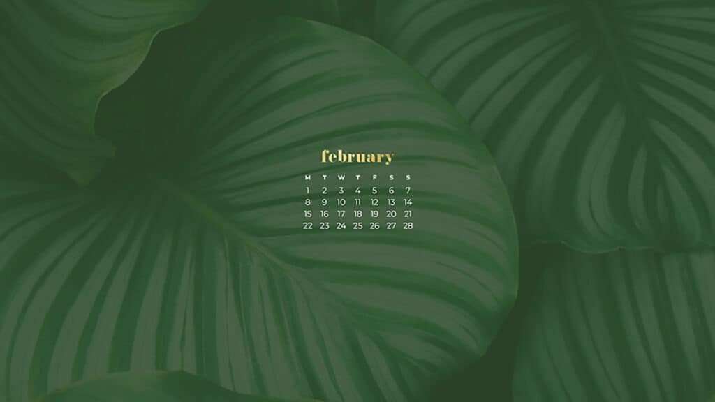 Free February 2021 calendar wallpapers – 30 cute designs in both Sunday and Monday starts for phone and desktop. Dress you tech!