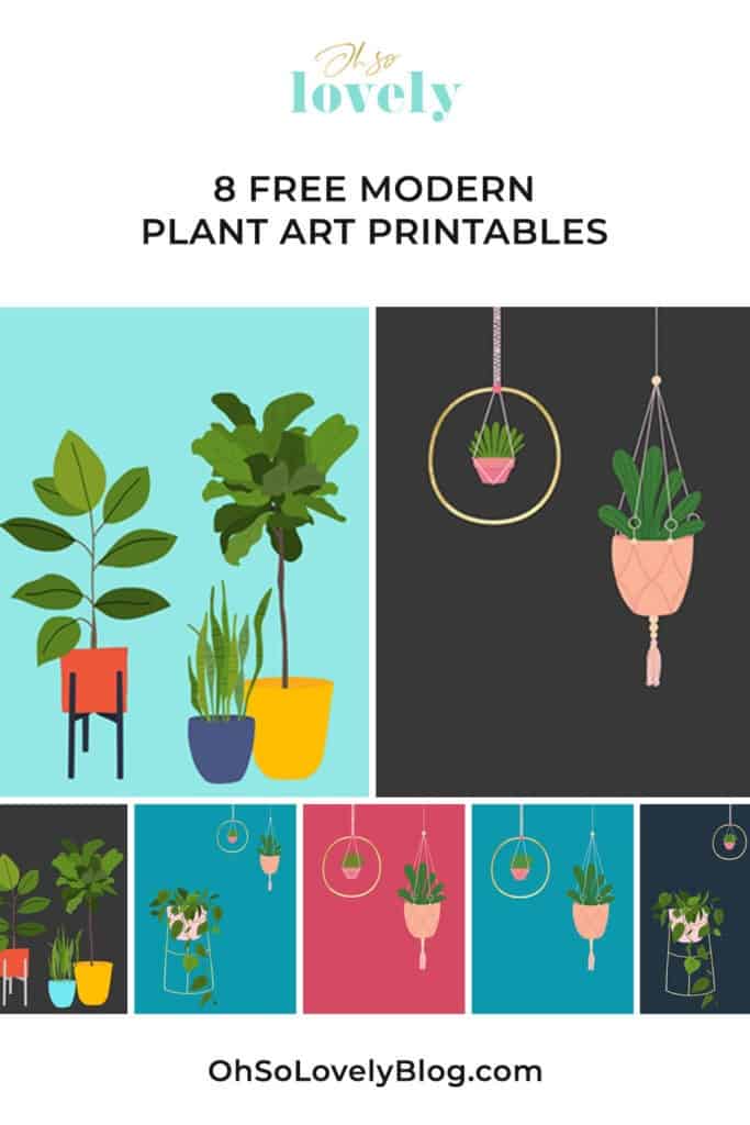 Free modern plant printables — 8 colorful and fun options to choose from! Simply download, print, and frame to update your walls!