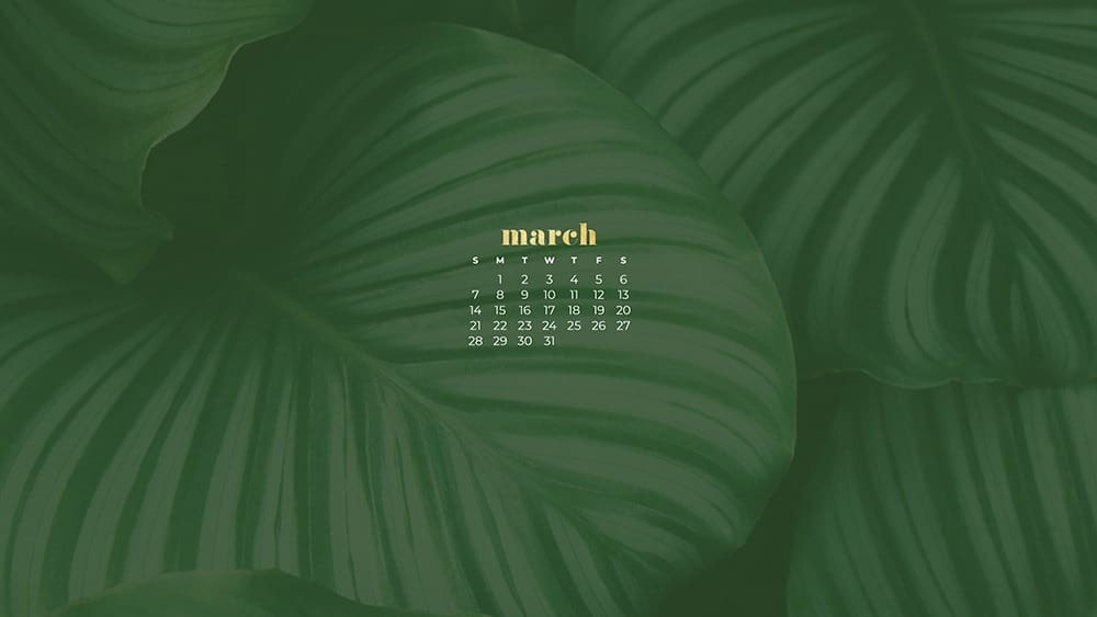 Green plant March wallpaper