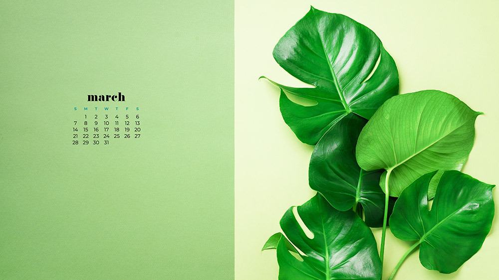 Green palm leaf wallpaper for March on green background