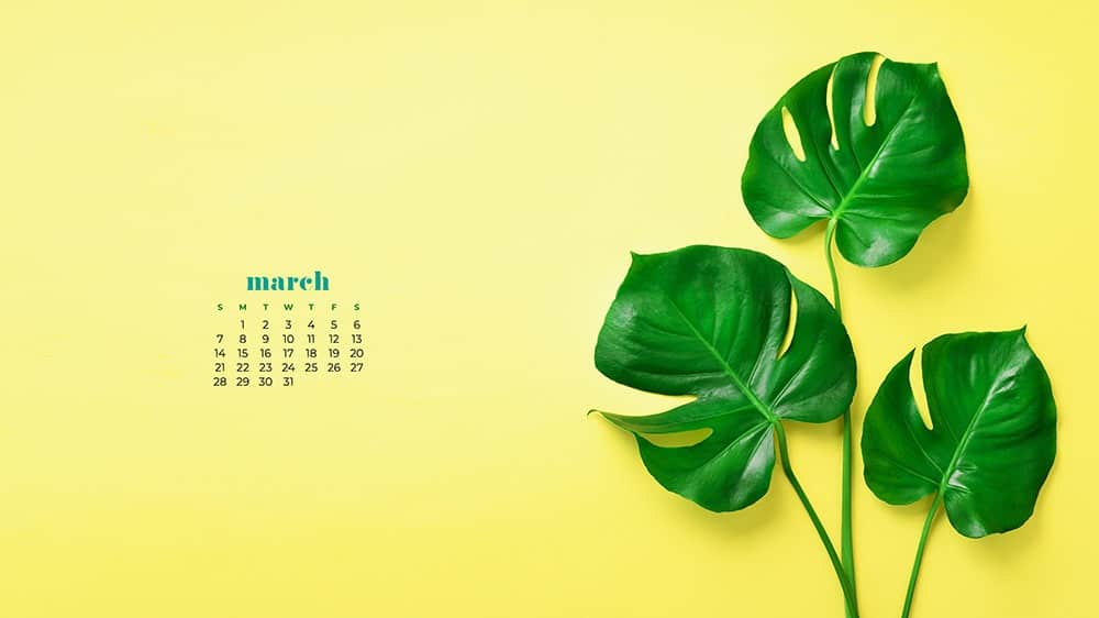 Green palm leaf wallpaper for March on yellow background