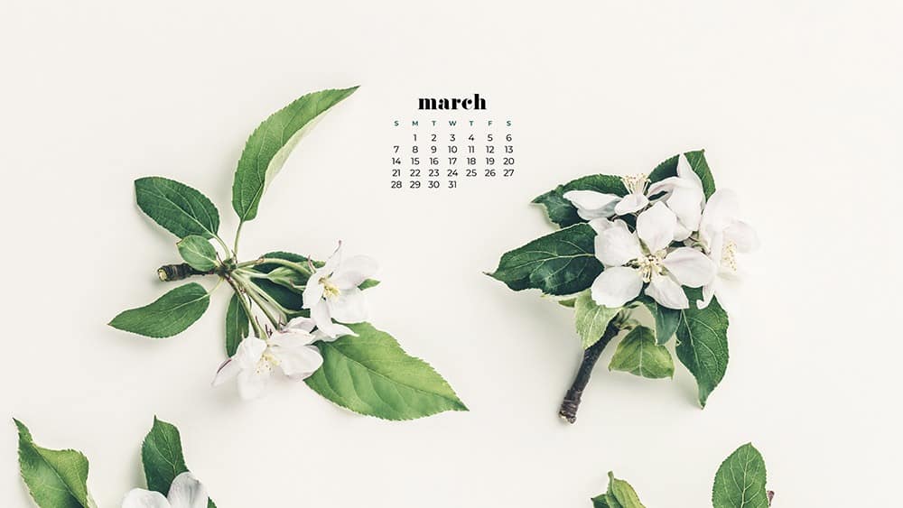 Free floral March 2021 wallpaper calendar