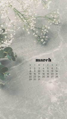 It&rsquo;s March 2021 wallpaper time! 30 cute options for desktop and phone.