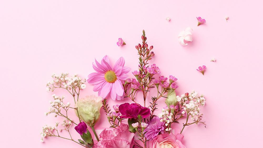 free plants desktop wallpaper with no calendar pink