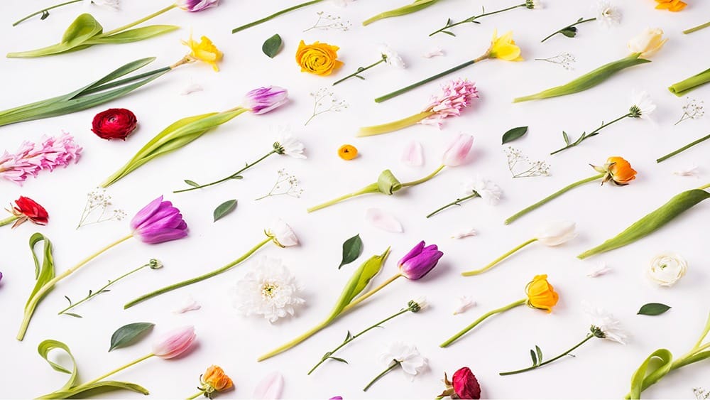 free floral desktop wallpaper with no calendar