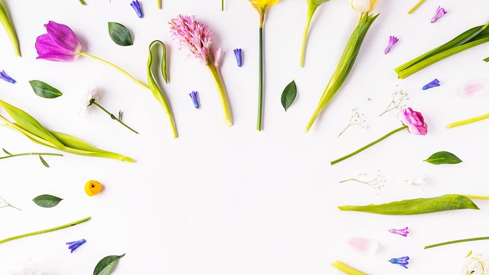 free floral desktop wallpaper with no calendar