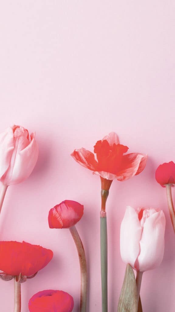 FREE APRIL 2021 WALLPAPER CALENDARS – 30 CUTE DESIGN OPTIONS!, Oh So Lovely Blog