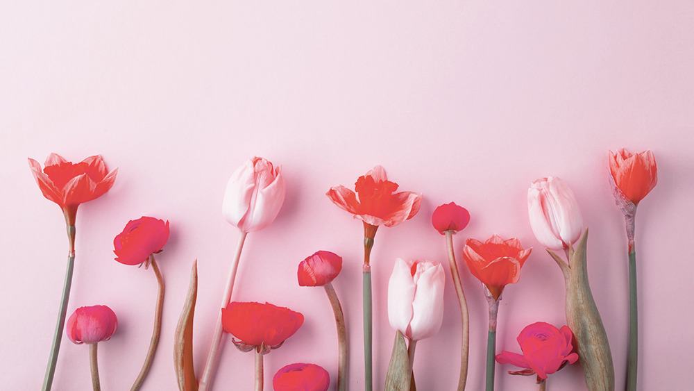 free floral desktop wallpaper with no calendar tulips