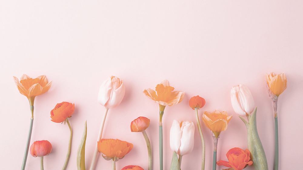 free floral desktop wallpaper with no calendar tulips