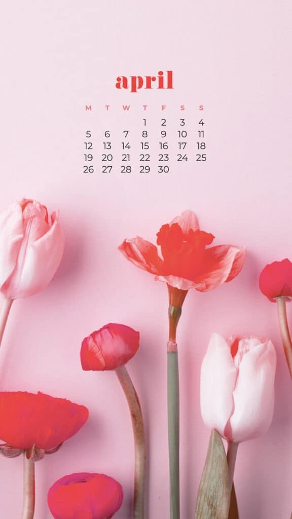 free pink tulips phone wallpaper with April 2021 calendar