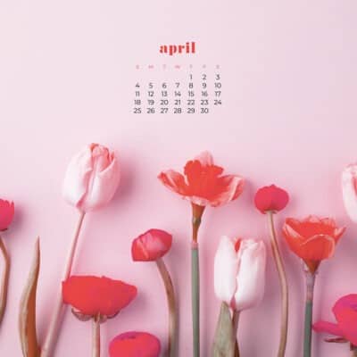 April 2021 calendar wallpapers – 30 FREE & cute options in Sunday & Monday starts + no calendar options for both desktop and smart phone.