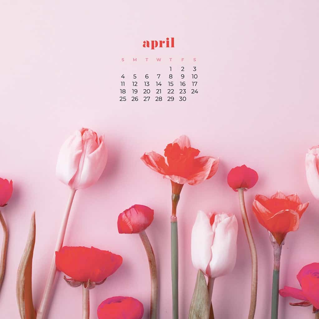 April 2021 calendar wallpapers – 30 FREE & cute design options!