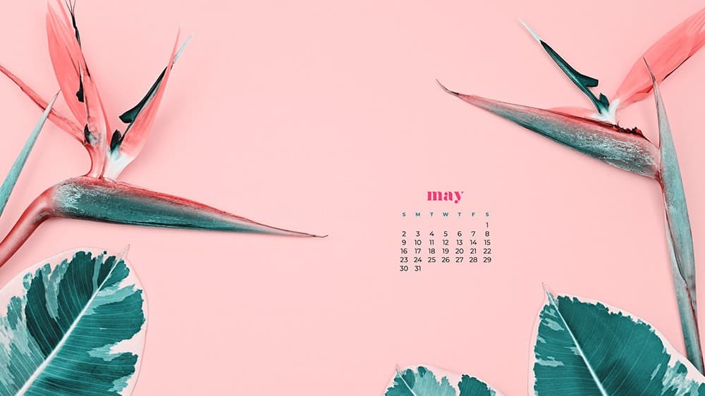 summer flowers and green leaves on pink background