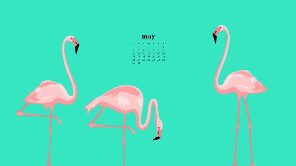 pink flamingo illustrations on a green background with 