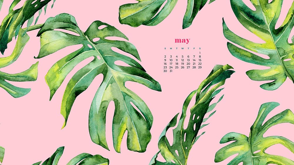 May 2021 wallpaper calendars – 30 FREE, cute, and colorful options!