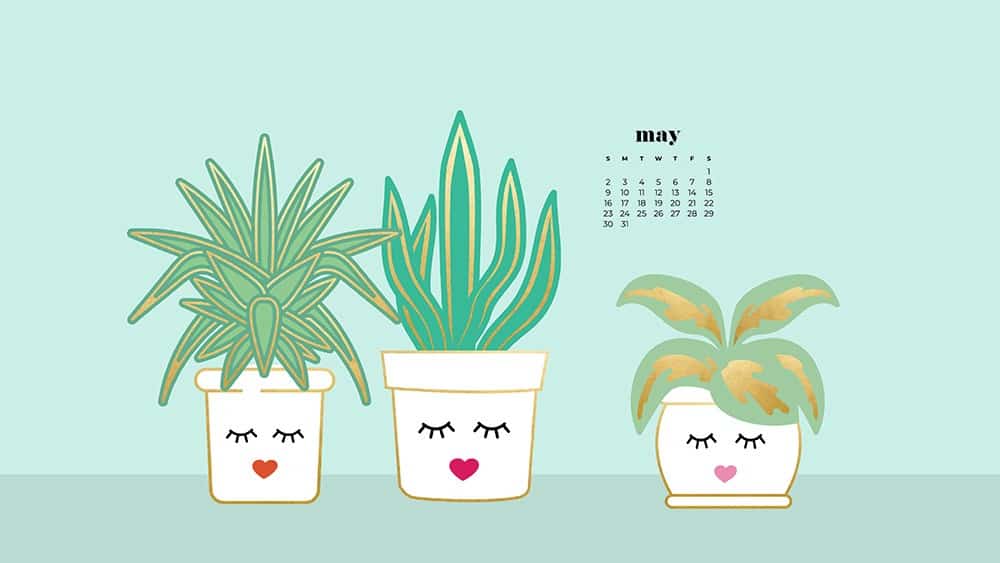 modern illustrated plants in a white pot with a feminine face on aqua background 