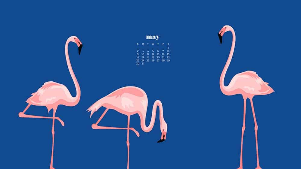 pink flamingo illustrations on a navy purple background with 