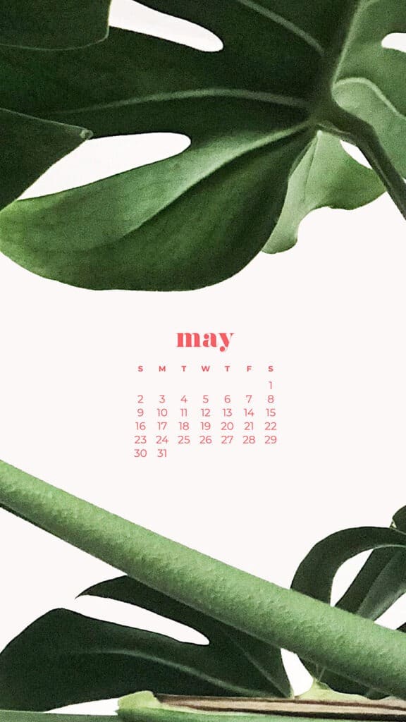 FREE MAY 2021 WALLPAPER CALENDARS – 30 CUTE OPTIONS TO DRESS YOUR TECH!, Oh So Lovely Blog