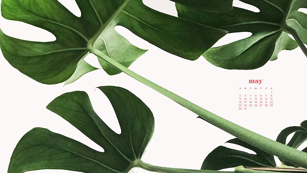 Green palm leaves on a clean white background