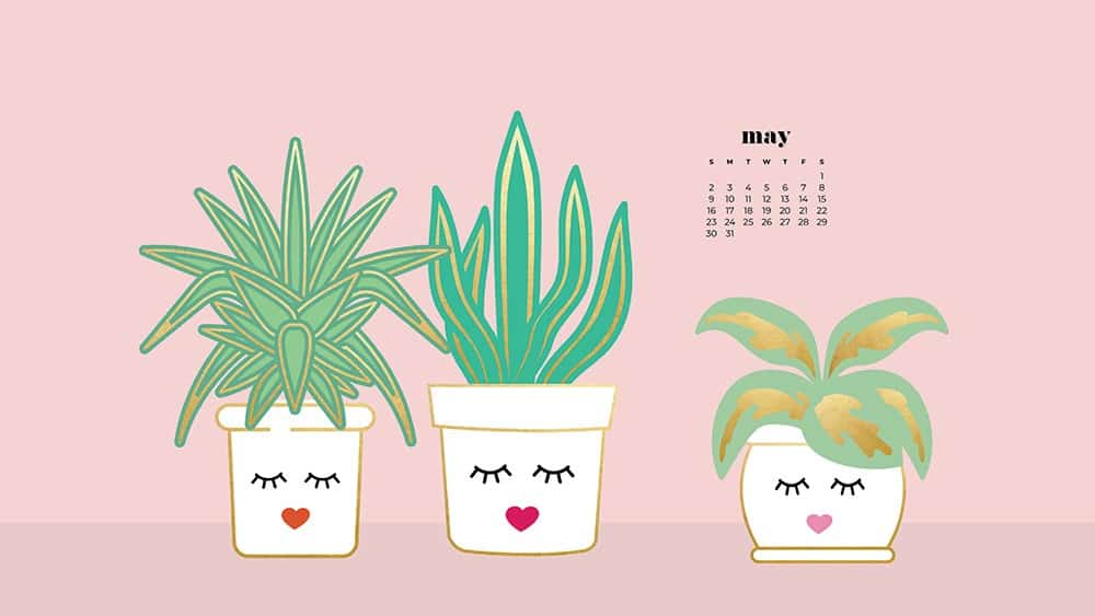 modern illustrated plants in a white pot with a feminine face on pink background 