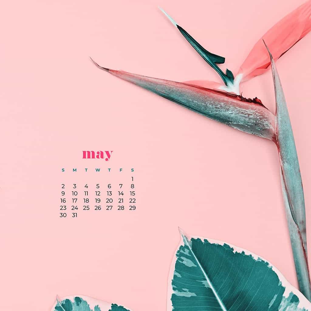 FREEBIES Archives Oh So Lovely Blog
