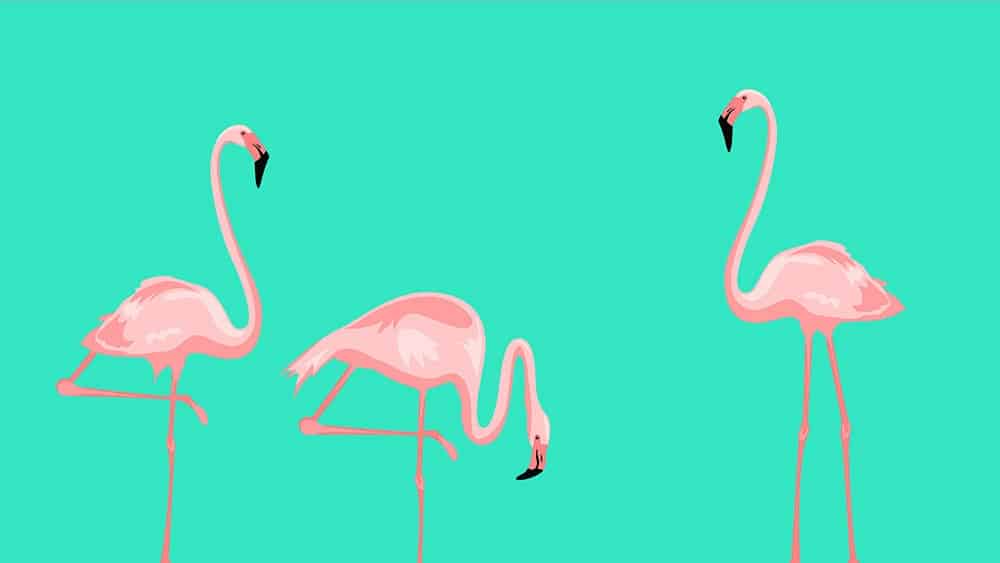 FREE MAY 2021 WALLPAPER CALENDARS – 30 CUTE OPTIONS TO DRESS YOUR TECH!, Oh So Lovely Blog