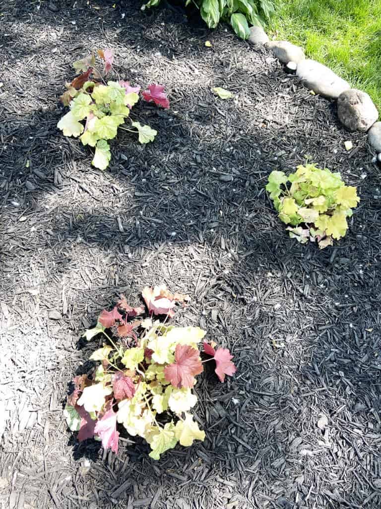 DIY SPRING EXTERIOR &#038; LANDSCAPING UPDATE – PHASE ONE PROGRESS, Oh So Lovely Blog