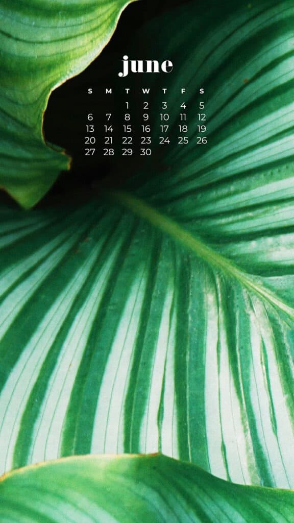 JUNE 2021 CALENDAR WALLPAPERS – 30 FREE OPTIONS FOR YOUR TECH!, Oh So Lovely Blog