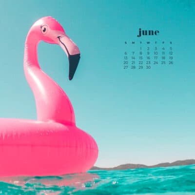 pink flamingo float on the turquoise ocean