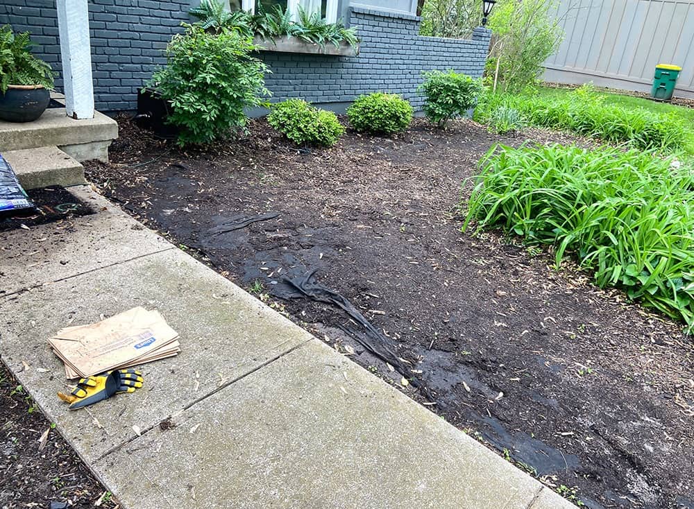 before photo of landscaping and washed up mulch