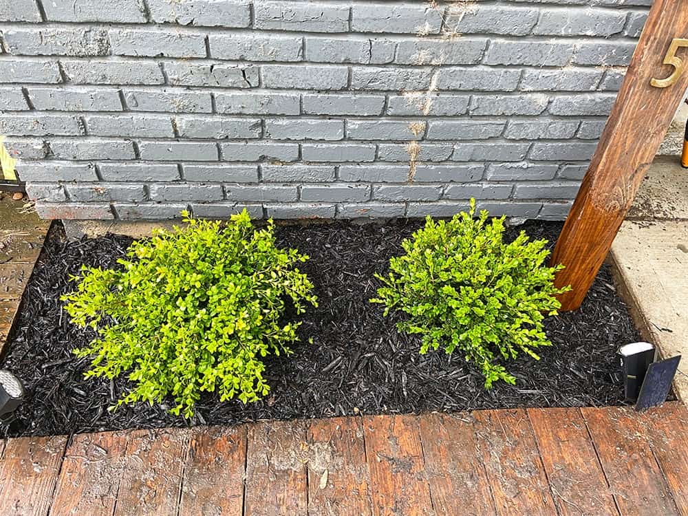 Landscaping update — DIY ideas to inspire you to get outside and and add some affordable curb appeal to your home.