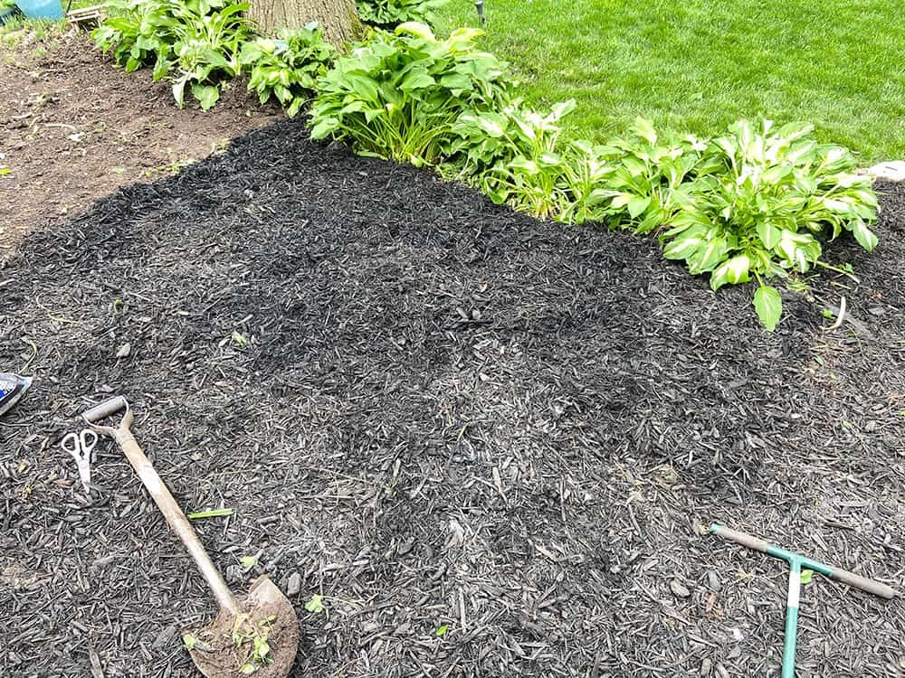 adding 45 bags of mulch to landscaping bed