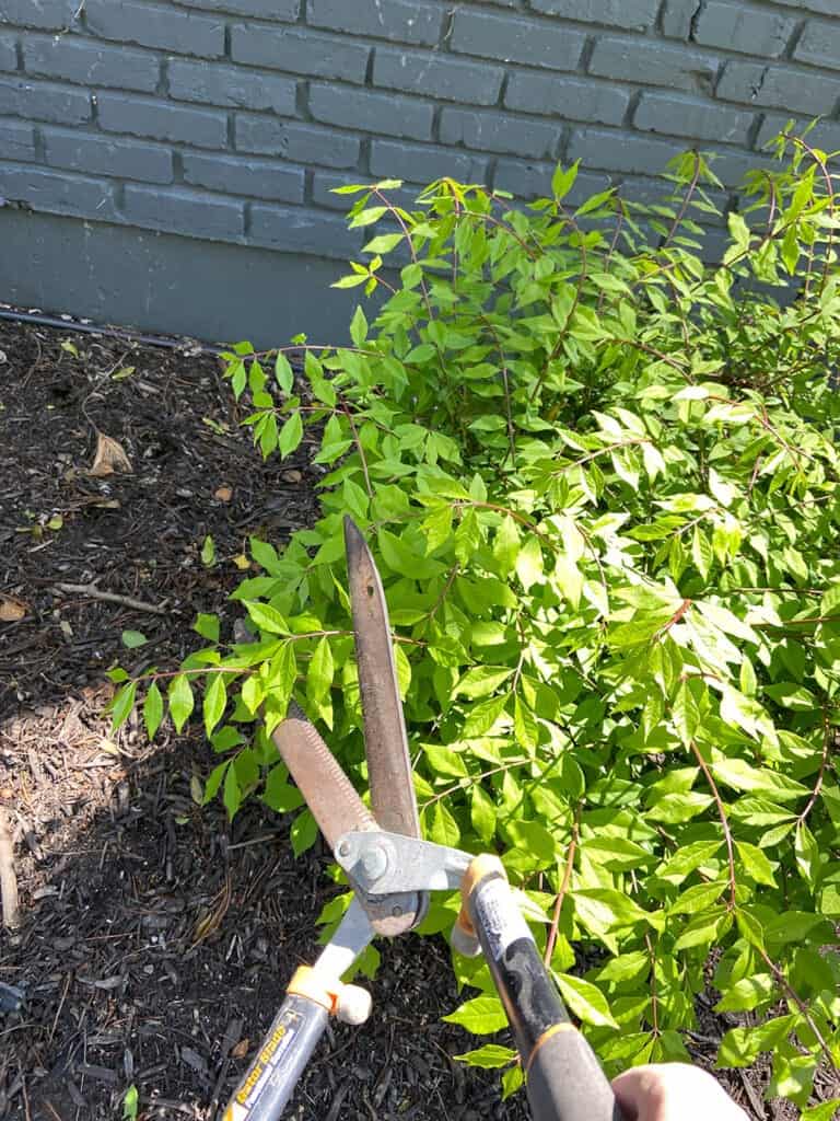 DIY SPRING EXTERIOR &#038; LANDSCAPING UPDATE – PHASE ONE PROGRESS, Oh So Lovely Blog