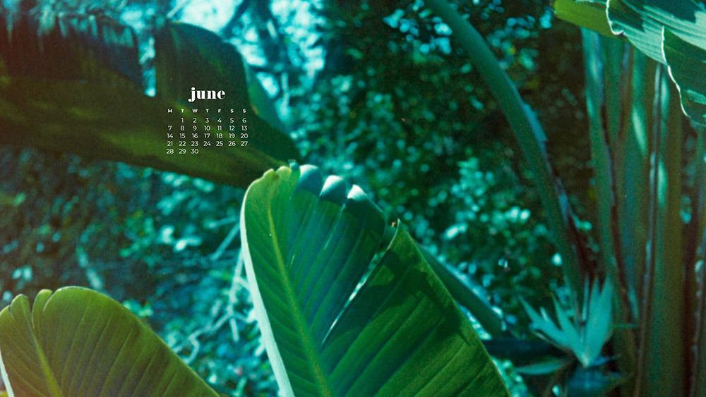 June 2021 wallpaper calendars – 30 FREE and cute options to dress your tech! Available in Sunday + Monday starts + no-calendar options.