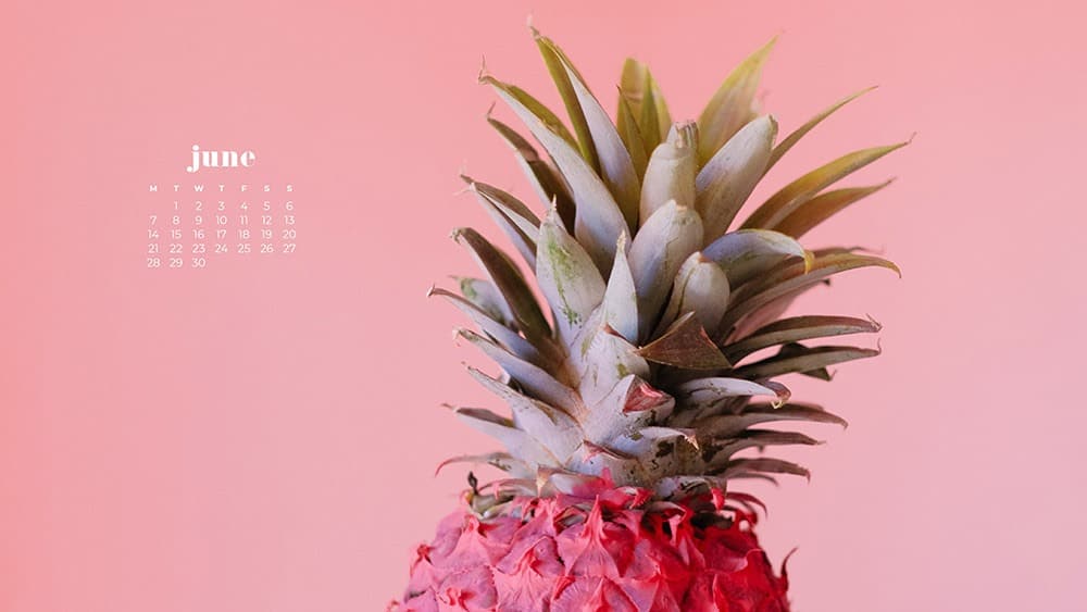 June 2021 wallpaper calendars – 30 FREE and cute options to dress your tech! Available in Sunday + Monday starts + no-calendar options.