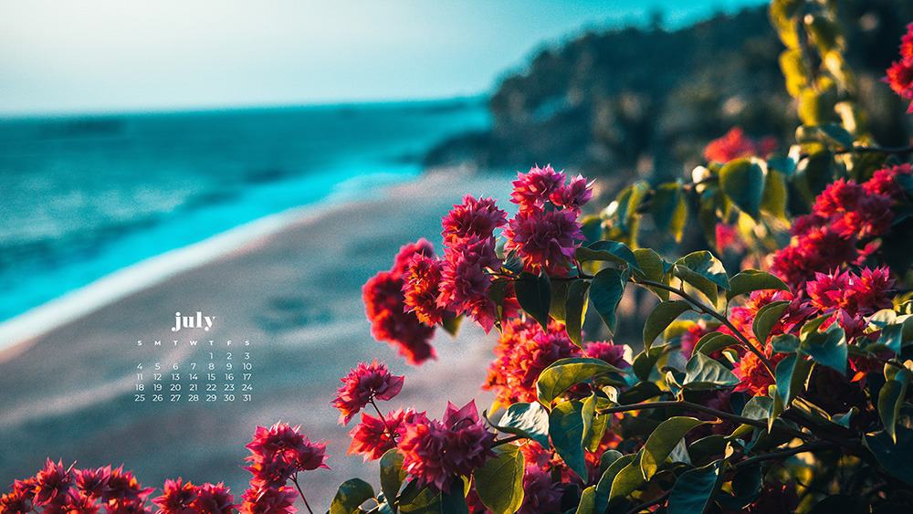 July 2021 wallpaper calendar ocean, cliffs, and colorful flowers